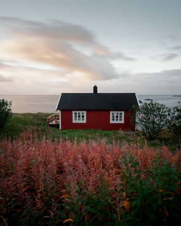 Energooszczędne domy szkieletowe – tańszy luksus