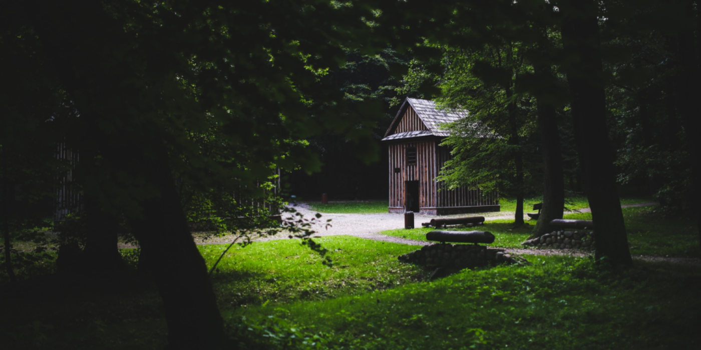 Dlaczego w domu drewnianym żyje się zdrowiej i panuje inny mikroklimat?