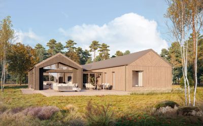 Wizualizacja domu Skandynawski 221