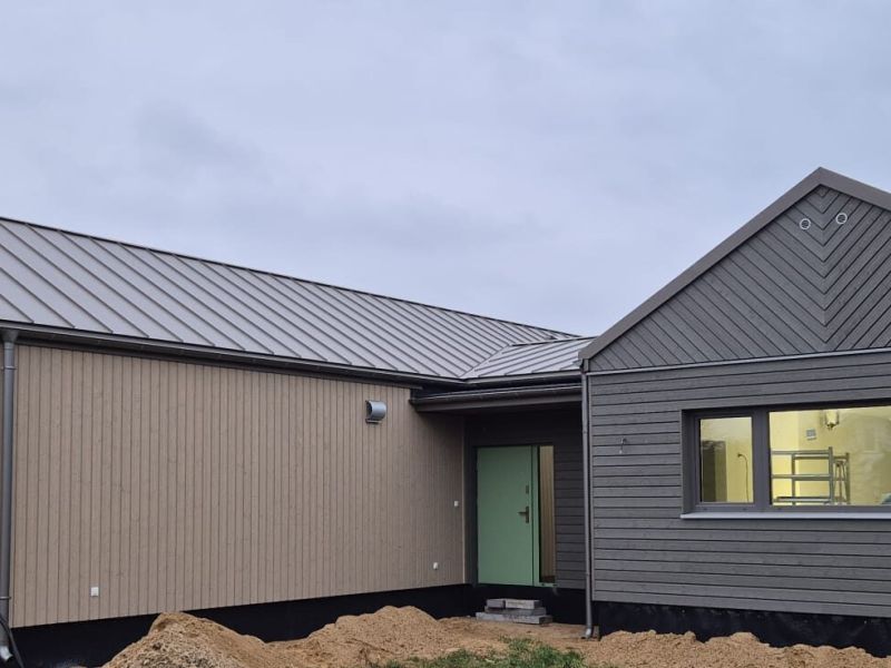 Dom Skandynawski 221